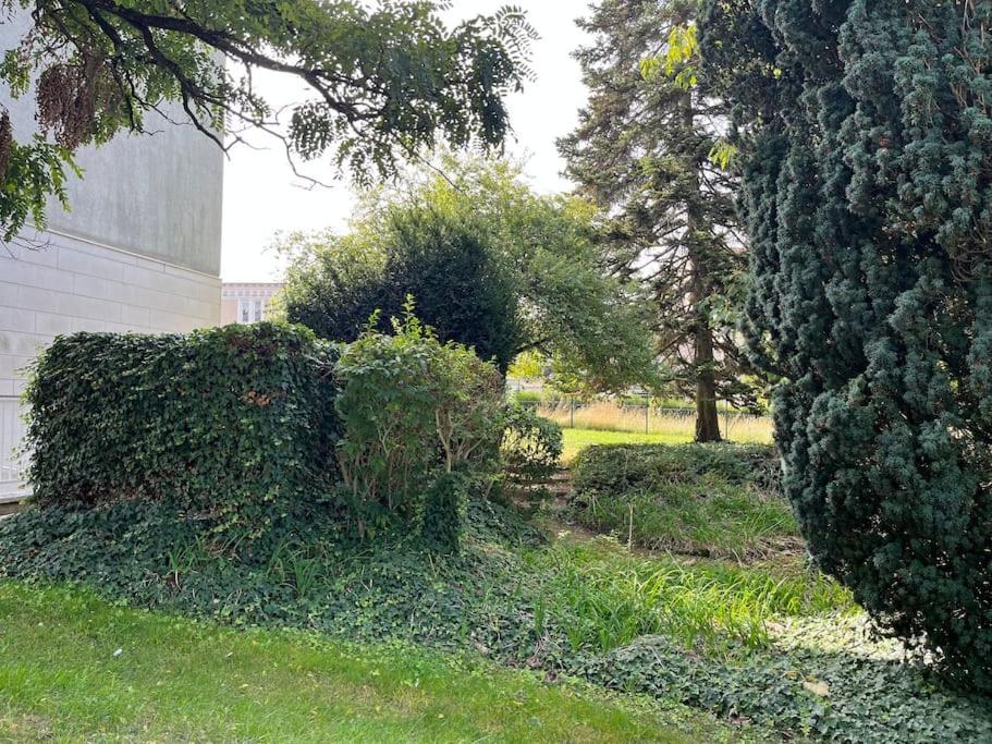Gites Maisons De Champagnes Reims Zewnętrze zdjęcie